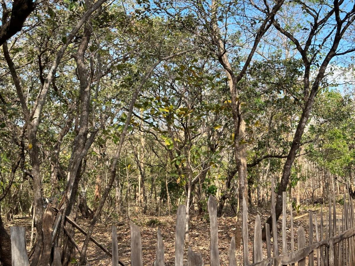 Finca Avellanas Lorena 외부 사진