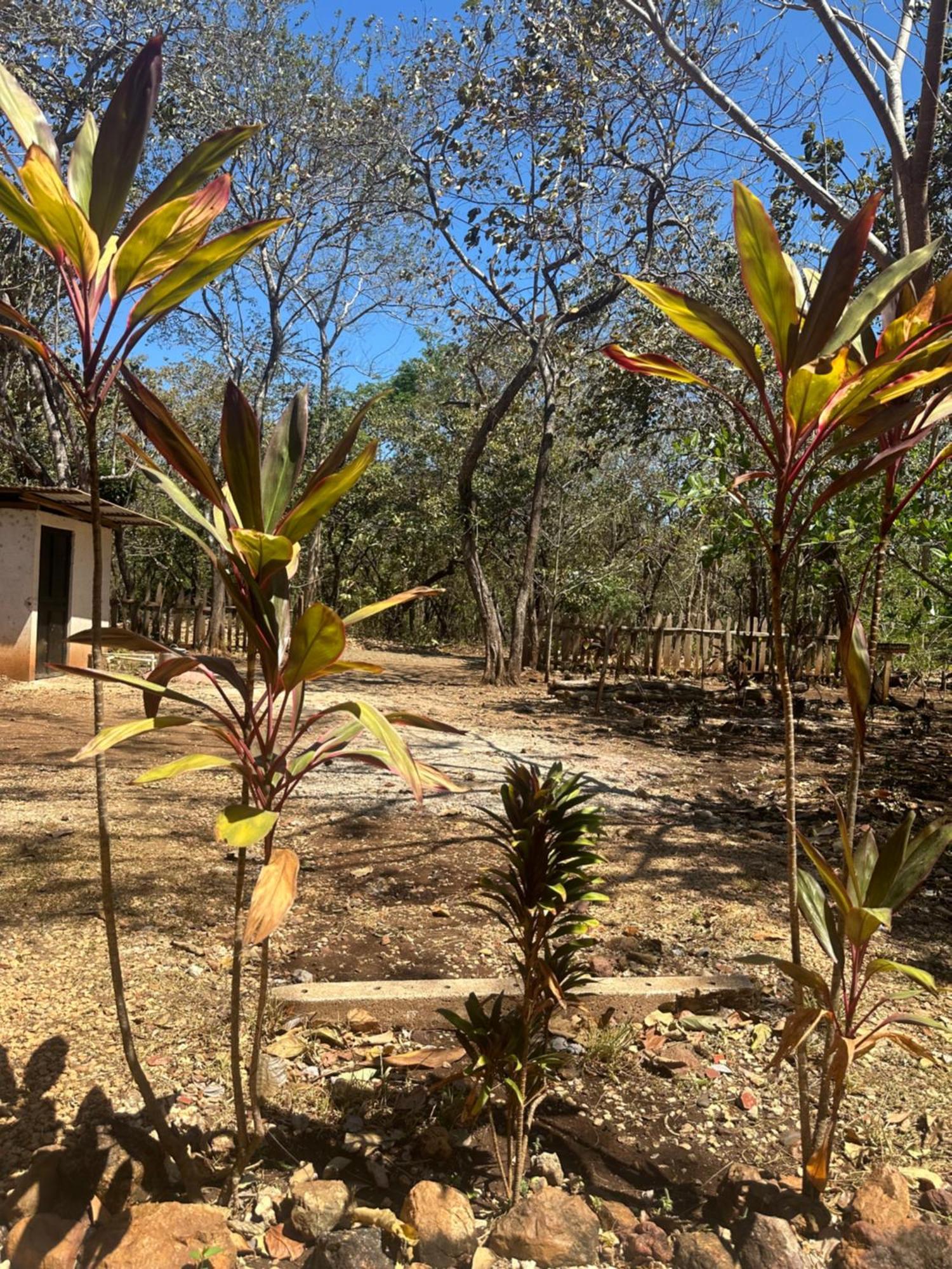 Finca Avellanas Lorena 외부 사진