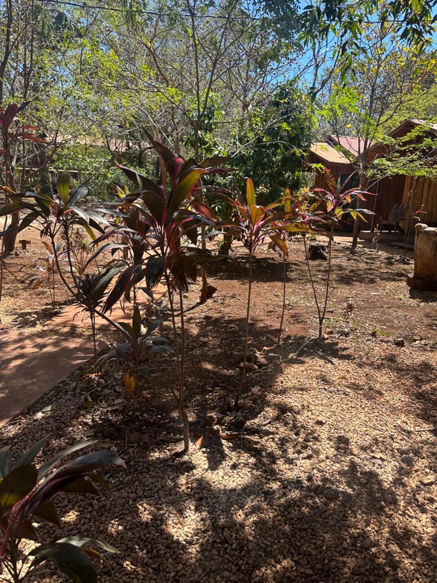 Finca Avellanas Lorena 외부 사진